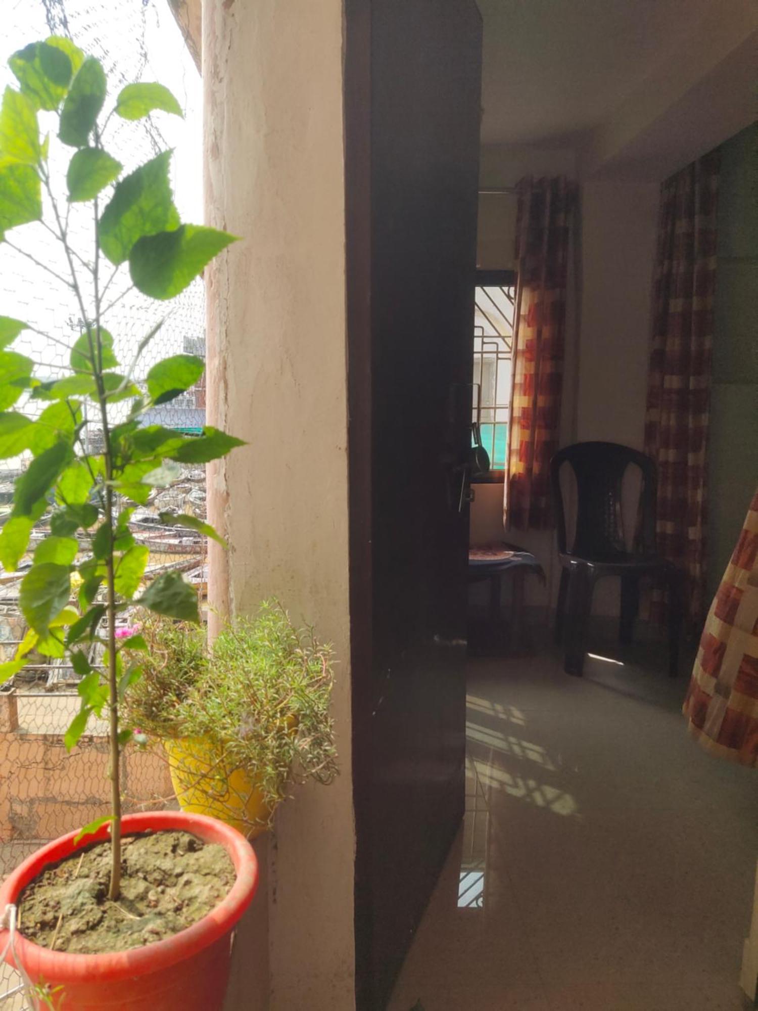 Sunrise Guest house *